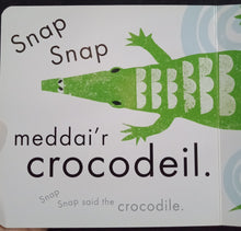 Load image into Gallery viewer, Anifeiliaid By Debbie Powell - Books for Less Online Bookstore