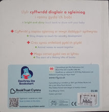 Load image into Gallery viewer, Anifeiliaid By Debbie Powell - Books for Less Online Bookstore