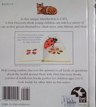 Load image into Gallery viewer, Cats - Books for Less Online Bookstore
