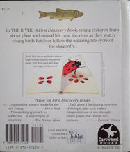 Load image into Gallery viewer, The River - Books for Less Online Bookstore