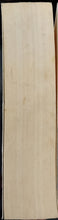 Load image into Gallery viewer, Vintage Dickens by Nicholas Nickleby 19F