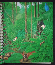 Load image into Gallery viewer, The Rain Forest - Books for Less Online Bookstore