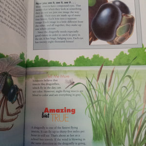 Fun Facts For Curious Kids: Insects
