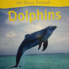 Load image into Gallery viewer, All About Animals: Dolphins