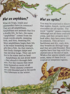 Questions Kids Ask About Snakes And Frogs