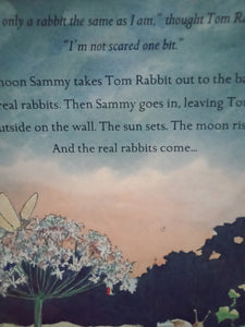 Tom Rabbit by Martin Wadell