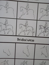 Load image into Gallery viewer, How To Draw 101 Horses &amp; Ponies