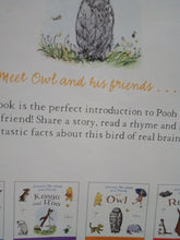Load image into Gallery viewer, Winnie-The-Pooh and Friends : Owl by A.A Milne