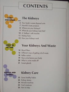 How My Body Works The Kidneys