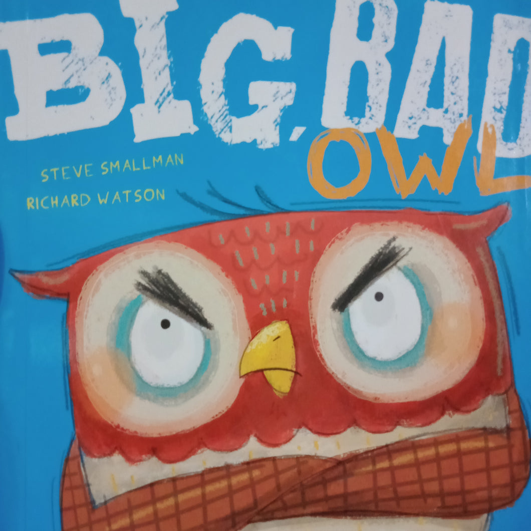 Big. bad Owl by Steve Smallman