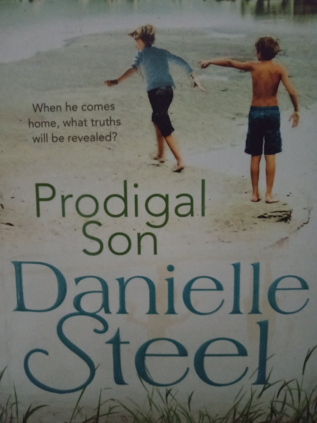 Prodigal Son By Danielle Steel