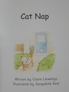 Pip's Pet: Cat Nap By Claire Llewellyn