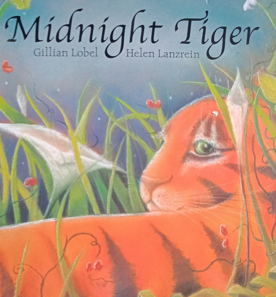 Midnight Tiger by Gillian Lobel - Books for Less Online Bookstore