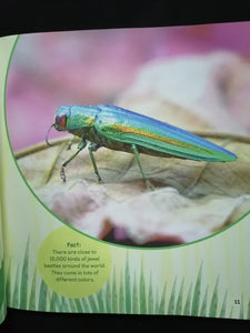The Backyard Bug Book For Kids (Storybook, Insect Facts, and Activities!)
