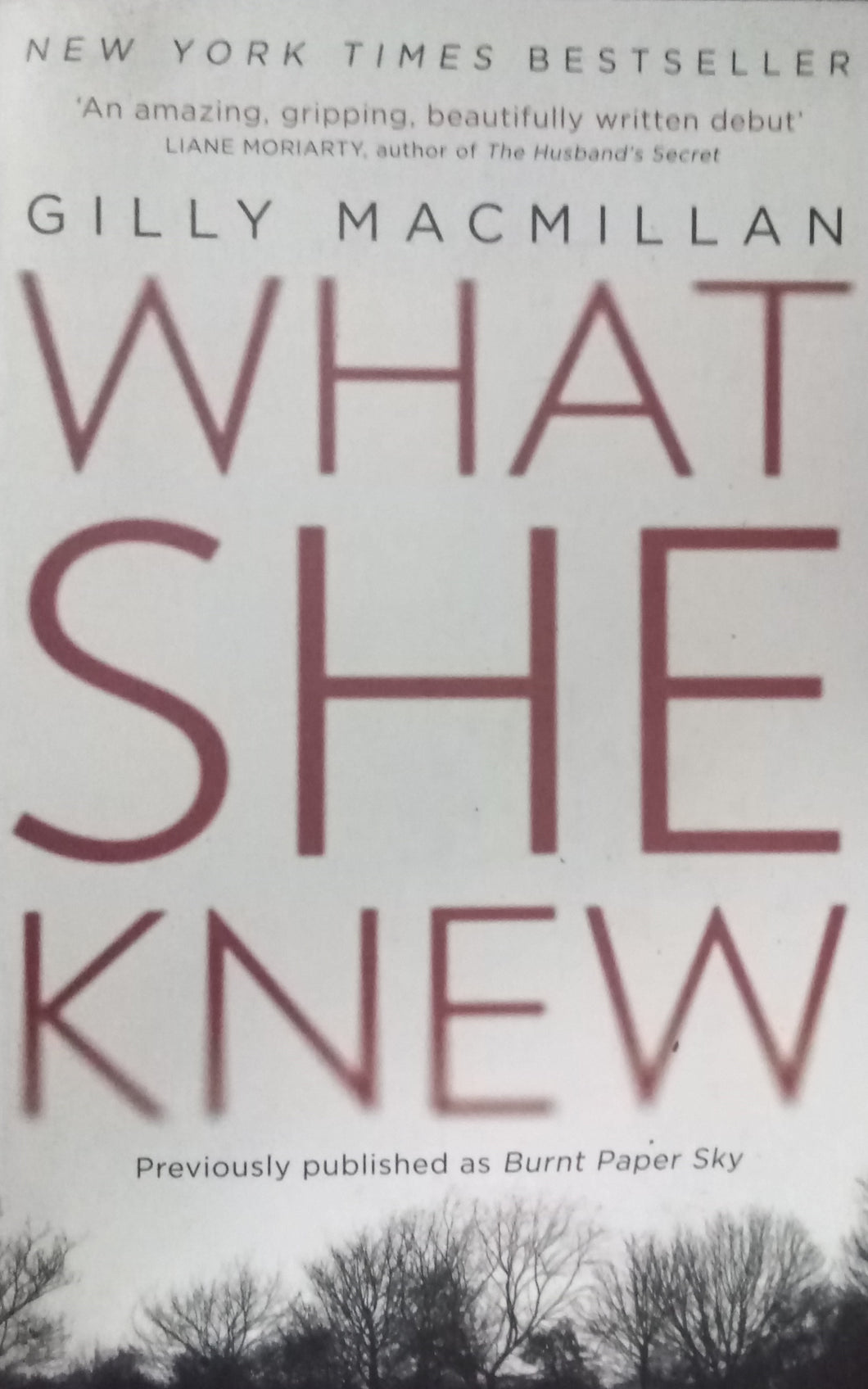 What She Knew By Gilly MacMillan