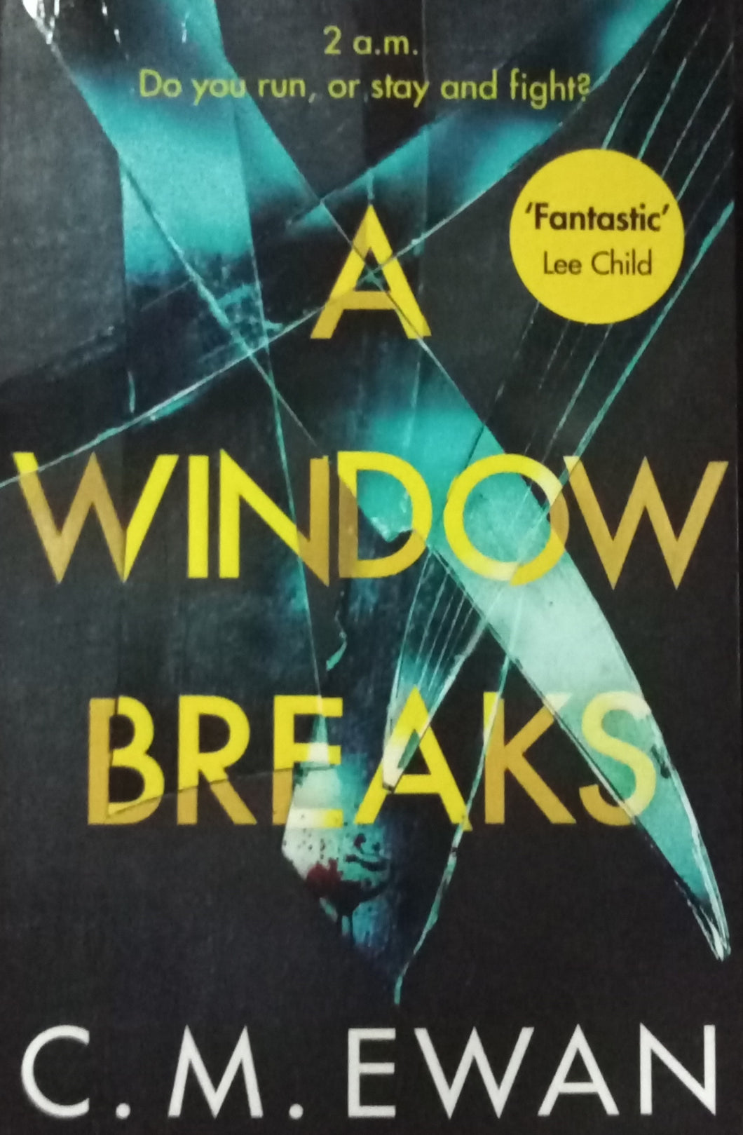 A Window Breaks By C.M. Ewan