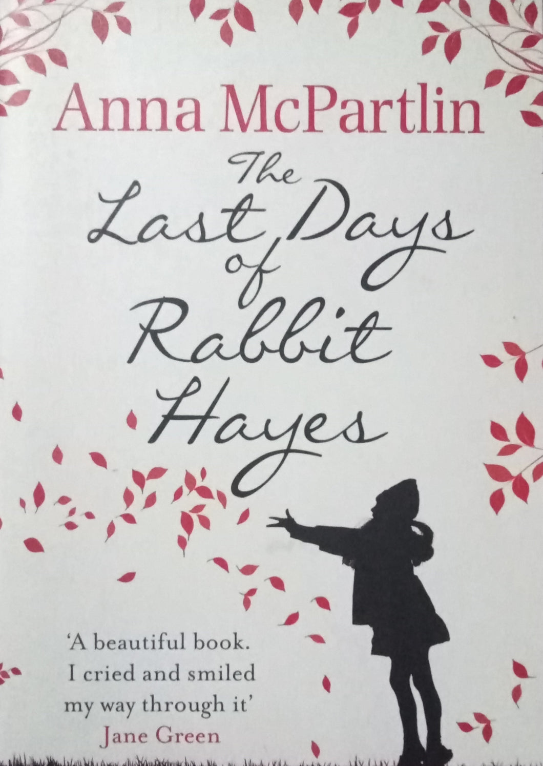 The Last Days Of Rabbit Hayes By Anna McPartlin