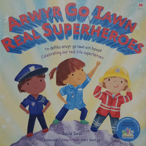 Arwyr Go Iawn Real Super Heroes by Julia Steal WS