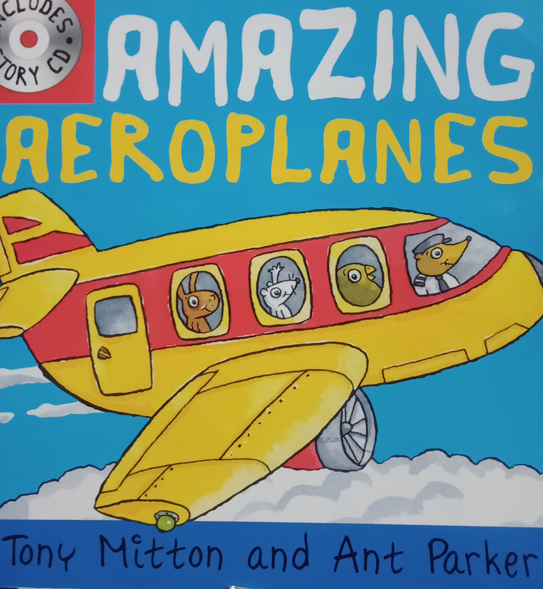 Amazing Aeroplanes by Toni Mitton