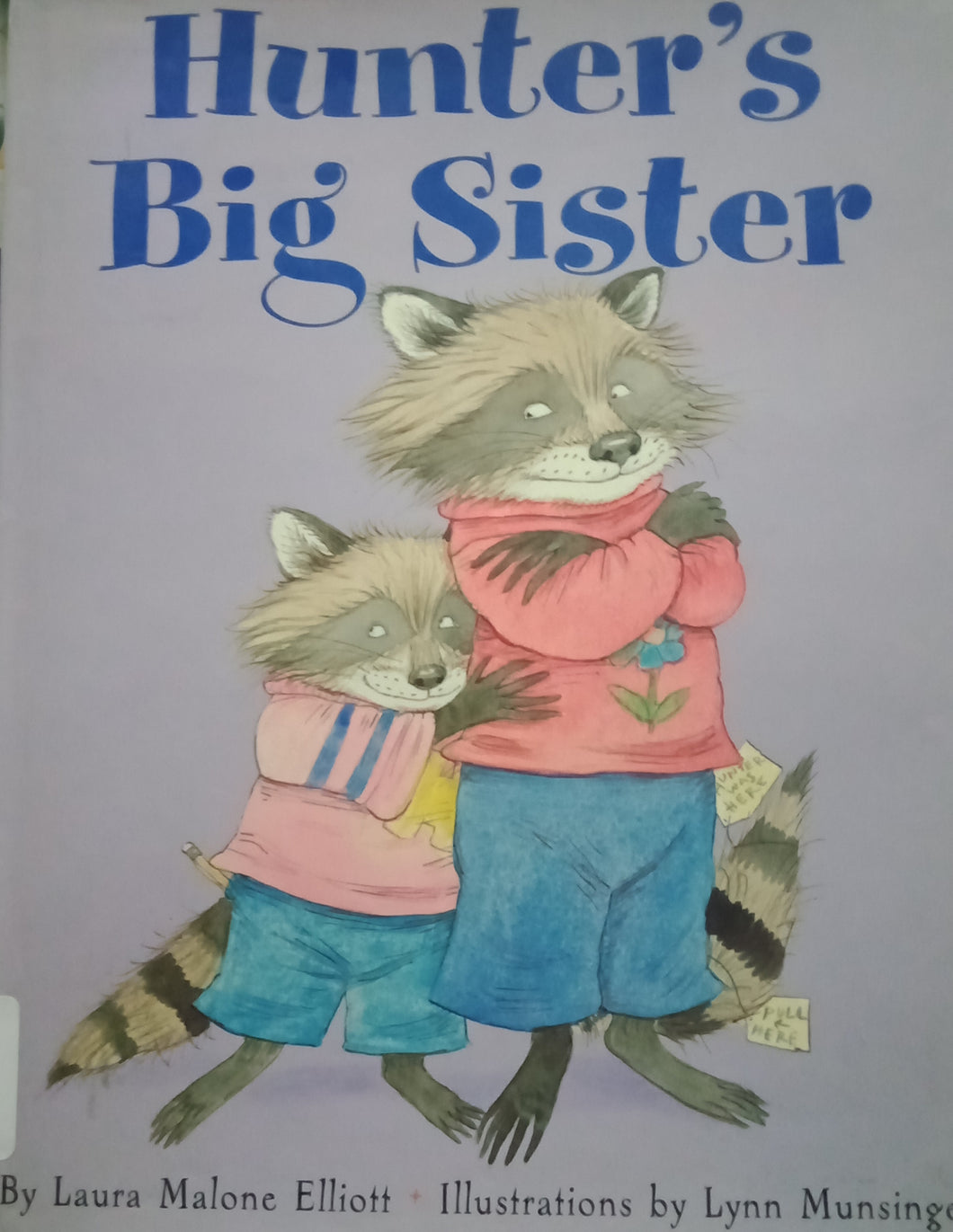 Hunter's Big Sister by Laura Malone Elliott