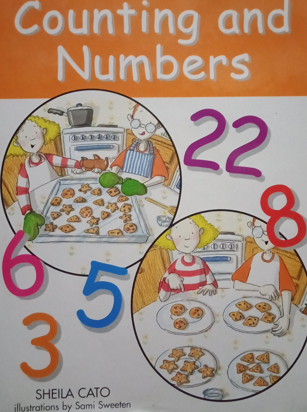 Counting And Numbers by Sheila Cato