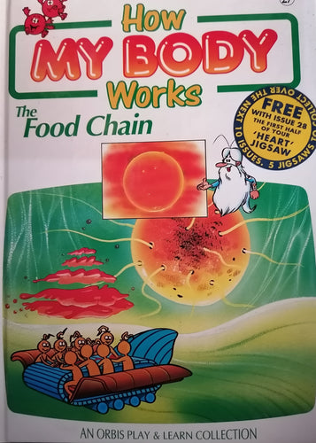How My Body Works The Food Chain