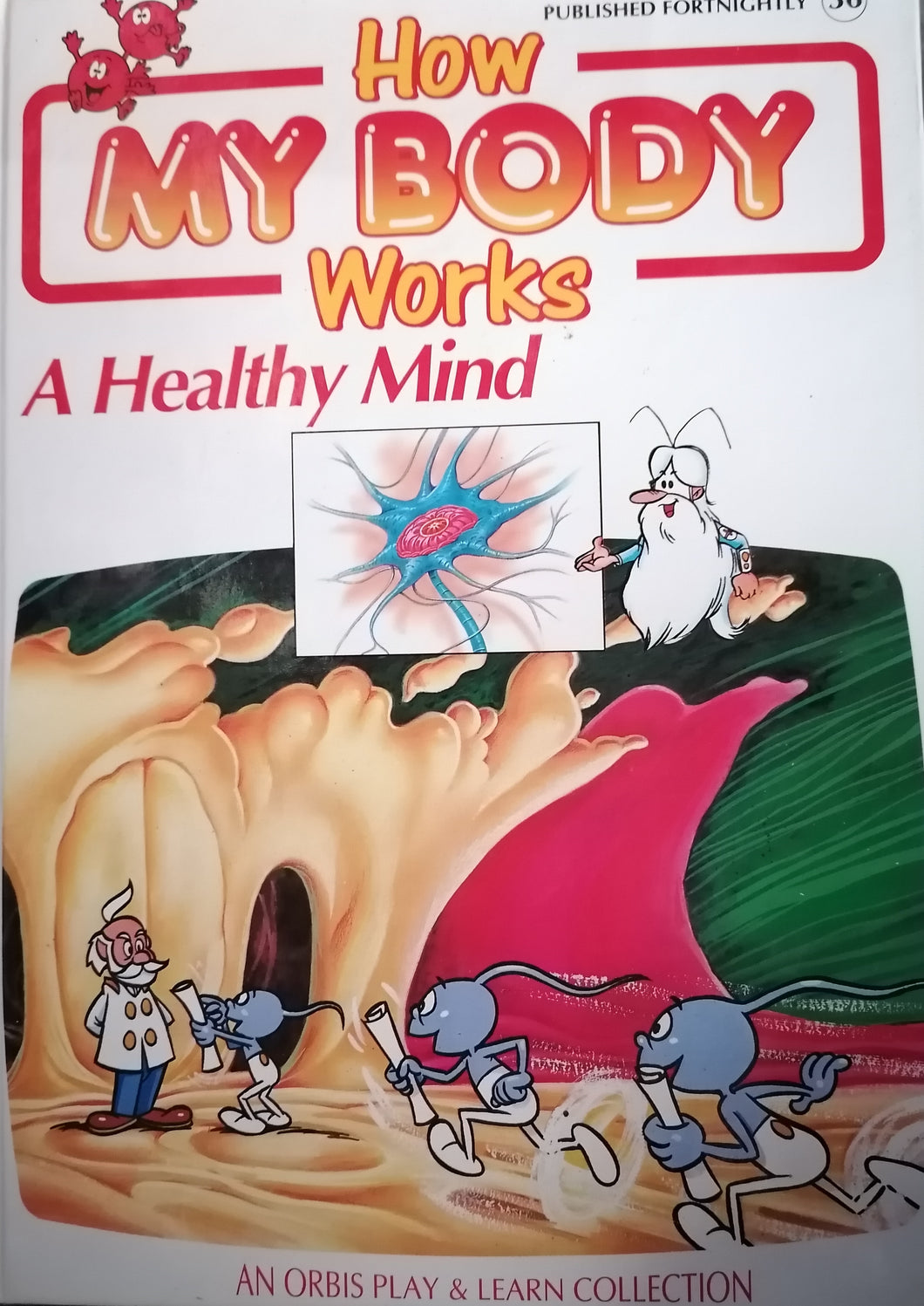 How My Body Works A Healthy Mind
