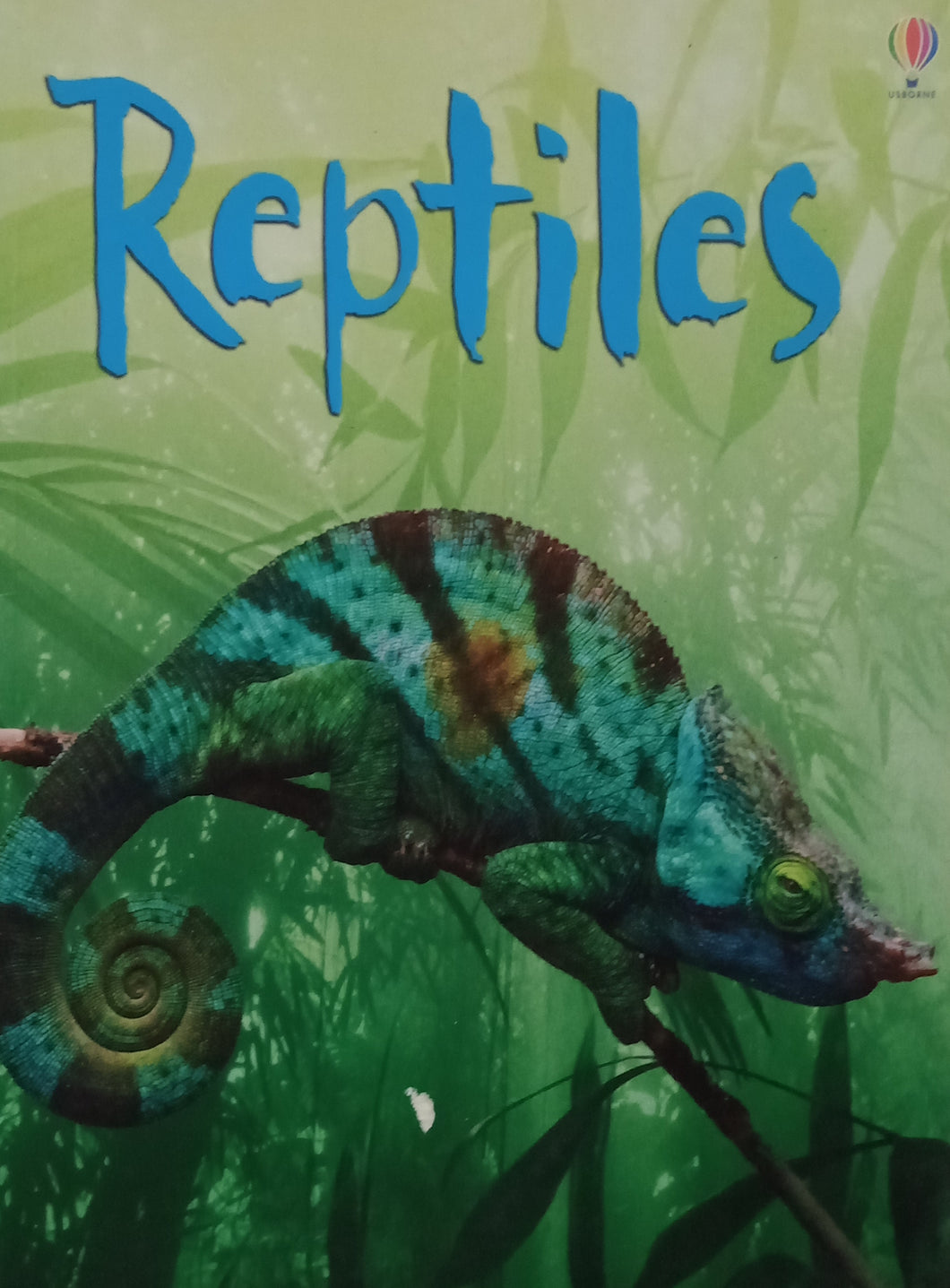 Reptiles