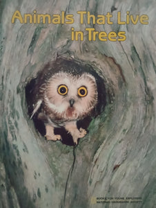 Animals That Live In Trees