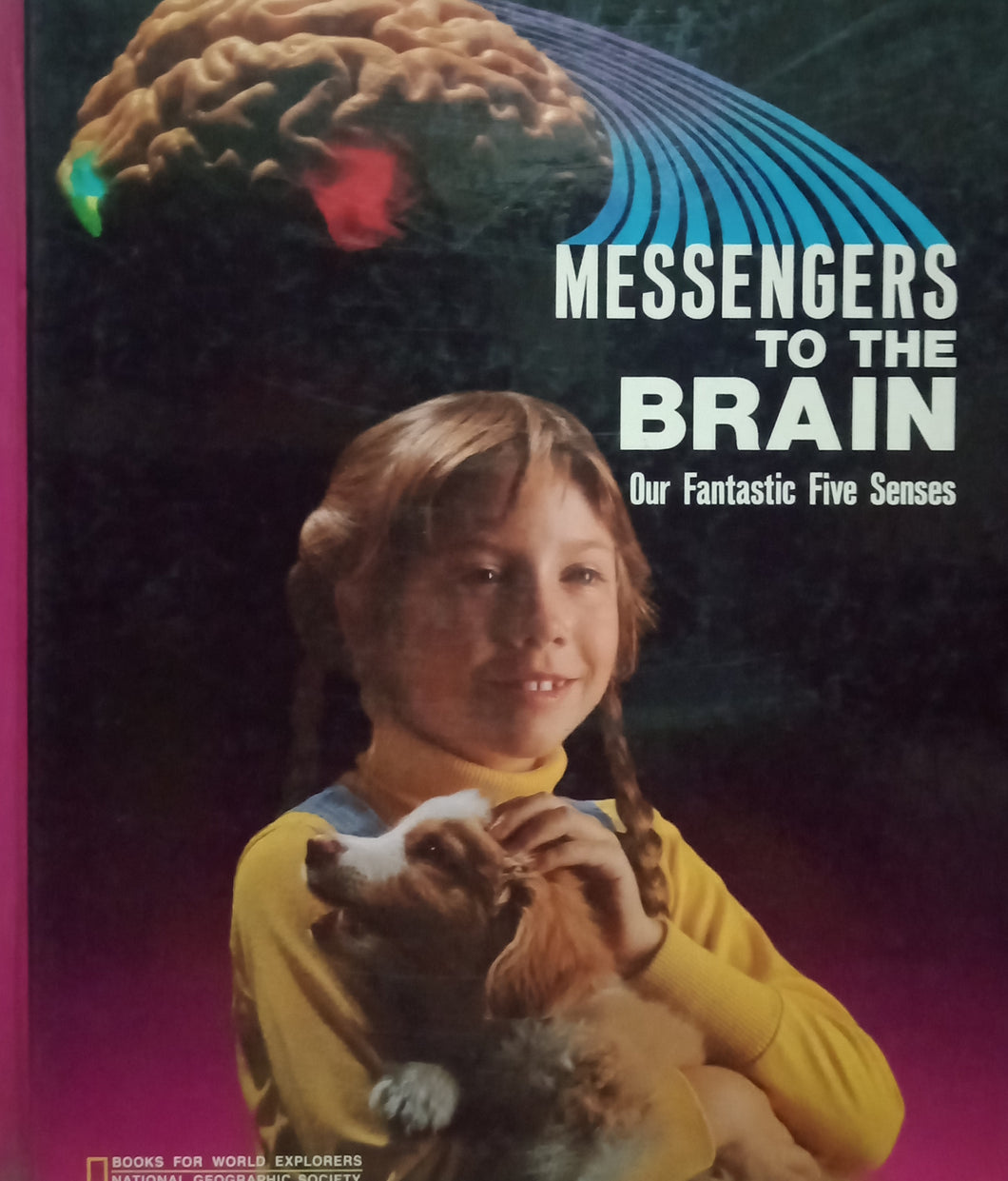 Messengers To The Brain : Our Fantastic Five Senses