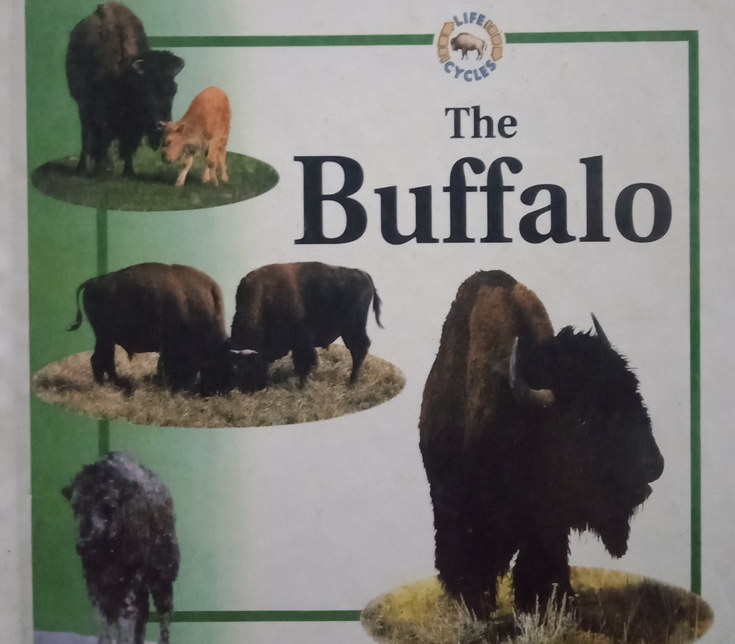 Life Cycles: The Buffalo