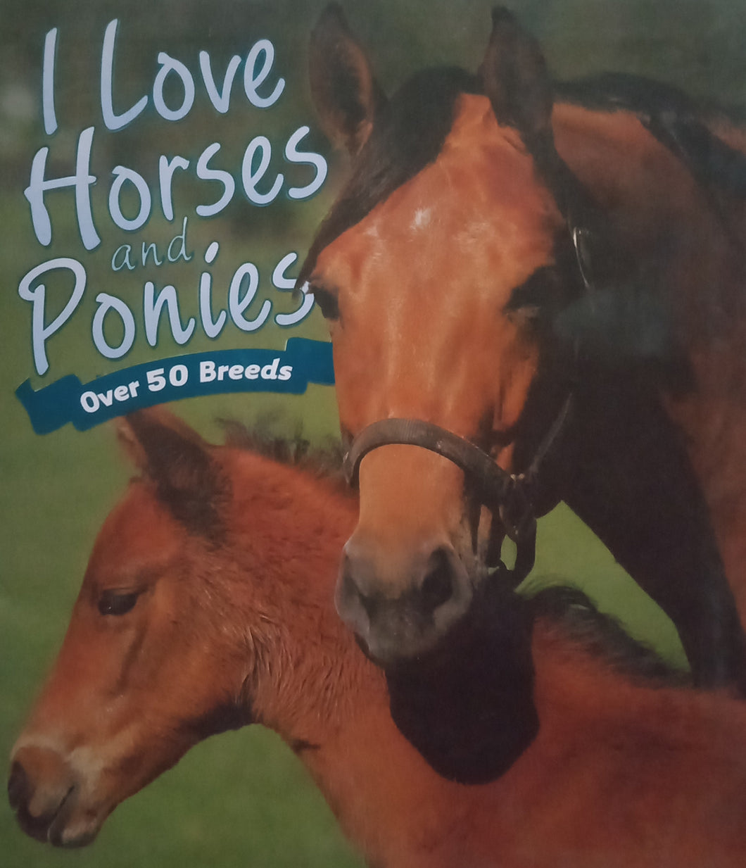 I Love Horses And Ponies Over 50 Breeds
