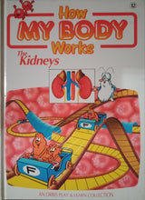 Load image into Gallery viewer, How My Body Works The Kidneys