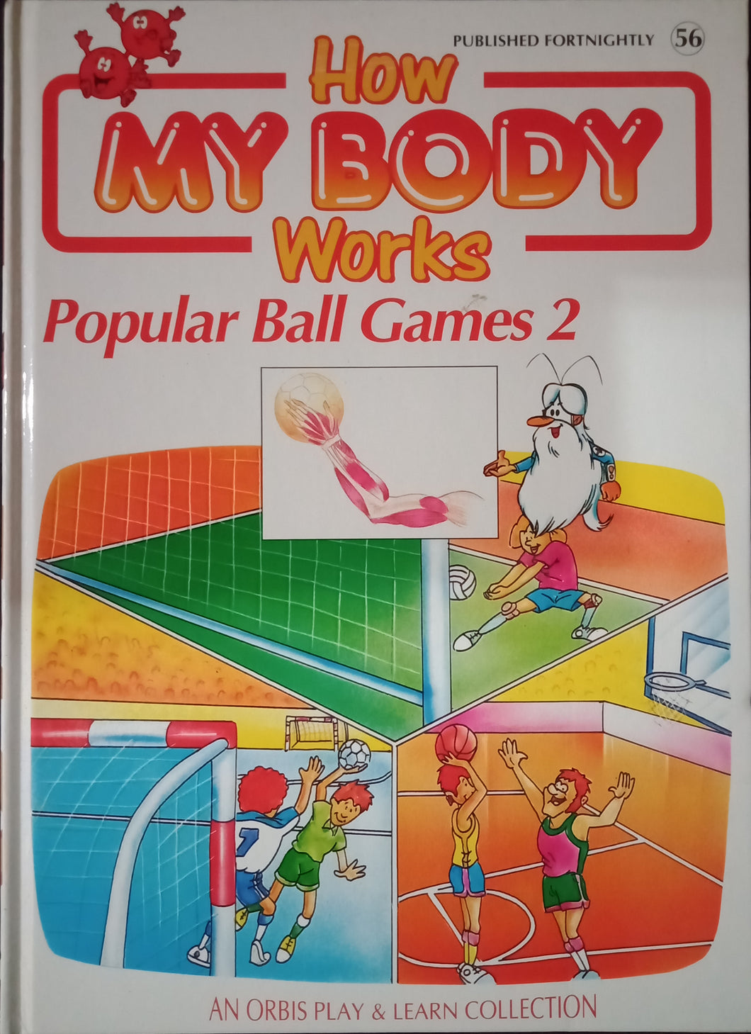 How My Body Works Popular Ball Games 2