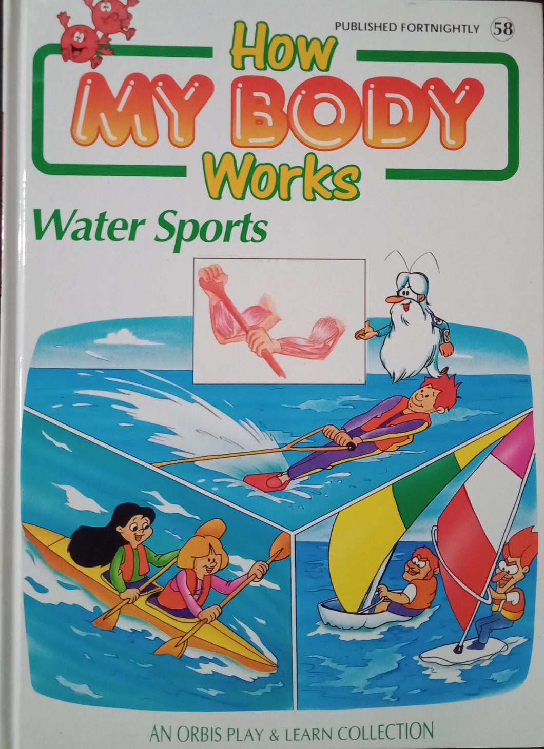 How My Body Works Water Sports