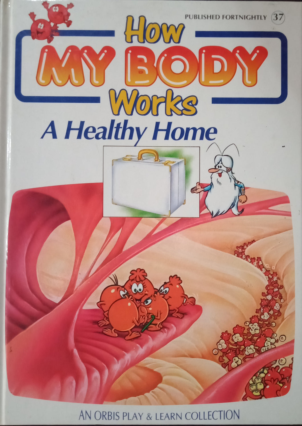 How My Body Works A Healthy Home