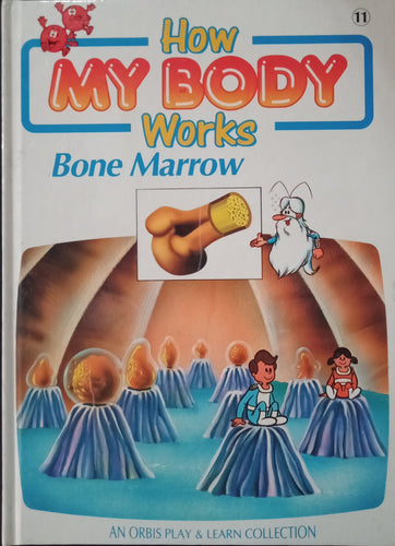 How My Body Works Bone Marrow