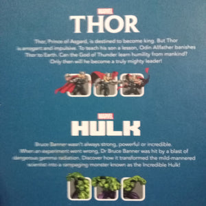 Marvel Collection Thor Hulk
