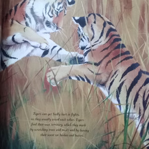 Tigress by Nick Downson