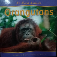 Load image into Gallery viewer, All About Animals: Orangutans