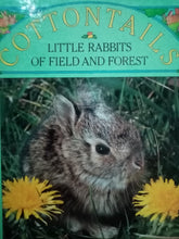 Load image into Gallery viewer, Cottontails: Little Rabbits Of Feild And Forest