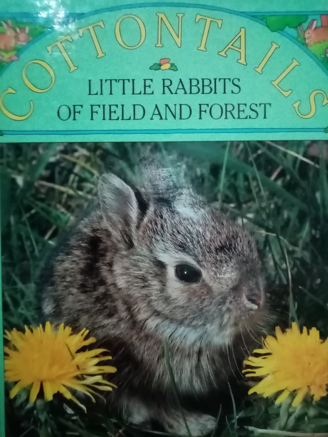 Cottontails: Little Rabbits Of Feild And Forest