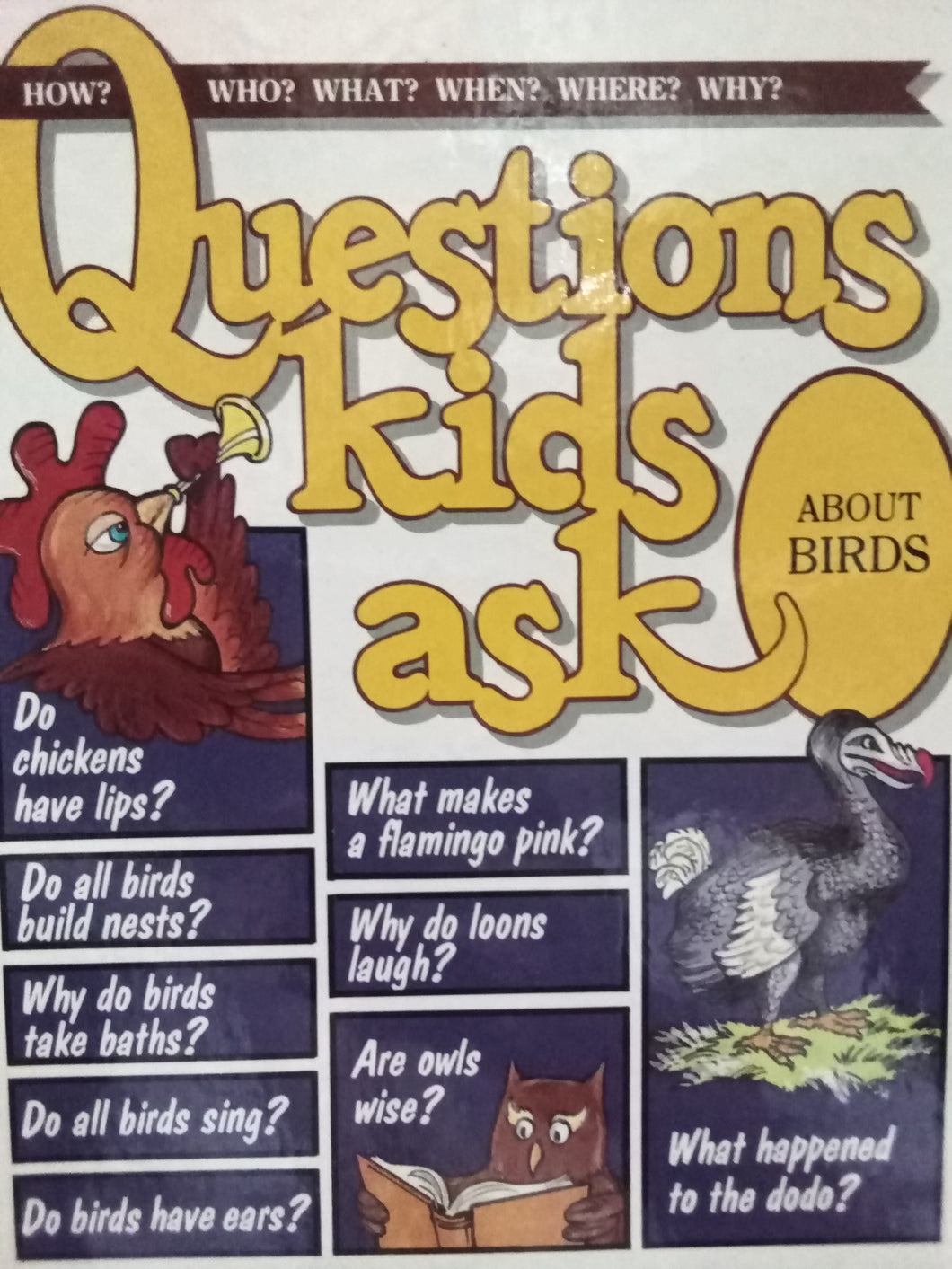 Questions Kids Ask About Birds