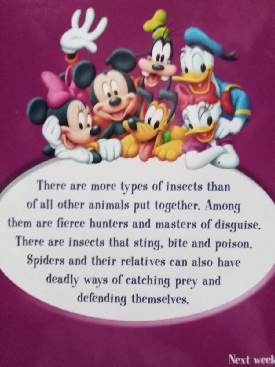 Disney Insects and Spiders – Books for Less Online Bookstore