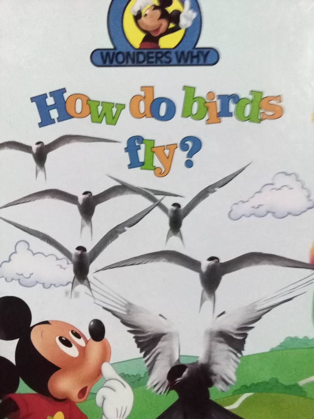 Mickey Wonders Why: How Do Birds Fly?
