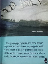 Load image into Gallery viewer, Penguins by Kate Waters