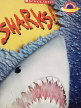 Load image into Gallery viewer, Sharks! By Janet Palazzo