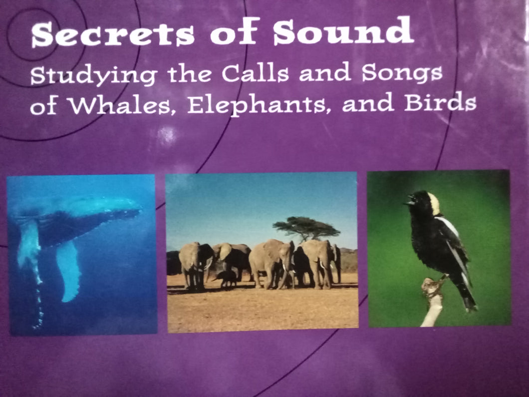 Secret Of Sound by April Pulley