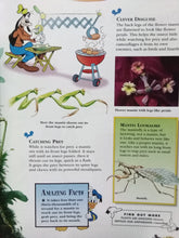 Load image into Gallery viewer, Disney: The Wonderful Of Knowledge Insects And Spiders