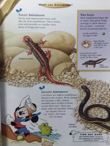 Disney: The Wonderful Of Knowledge Reptiles And Amphibians